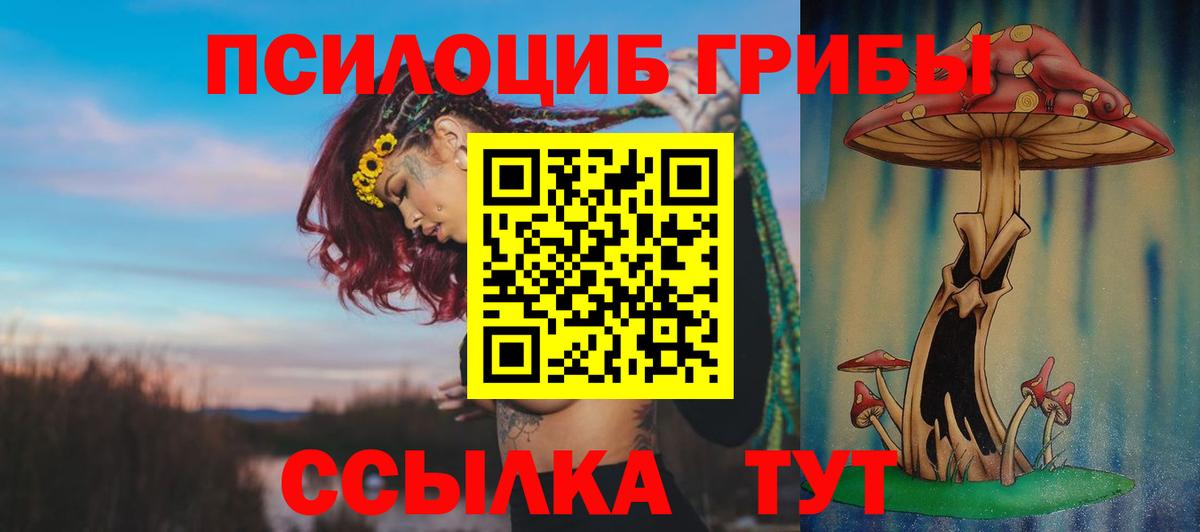 Псилоцибиновые грибы мухоморы Белово